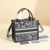 The Paris map small book tote handbag was designed by Maria Grazia Chiuri
