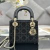 i1690525116_7004_0 ❤️❤️ Lady Dior's three panel embroidered bead tube with black lining and sheep tendon