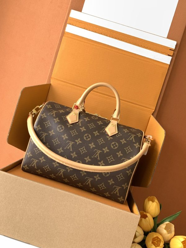 The Speedy Soft 30 Dark handbag
