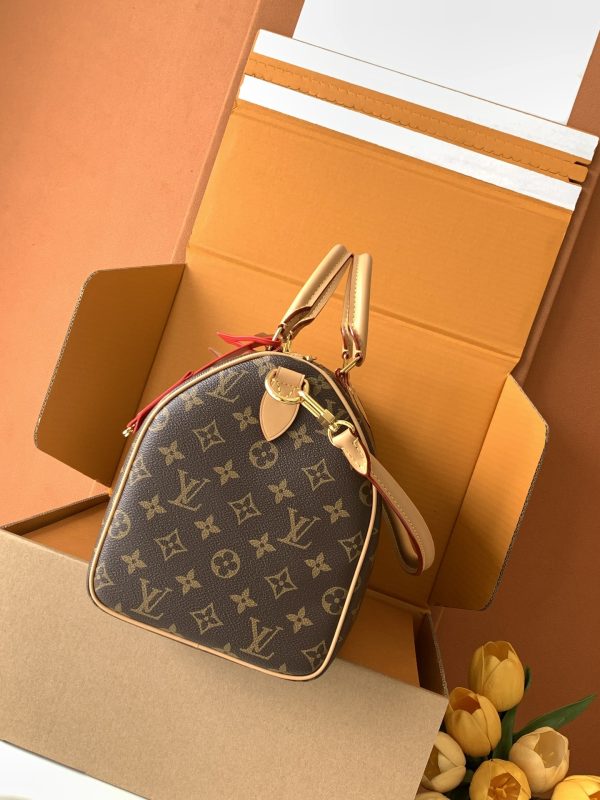 The Speedy Soft 30 Dark handbag